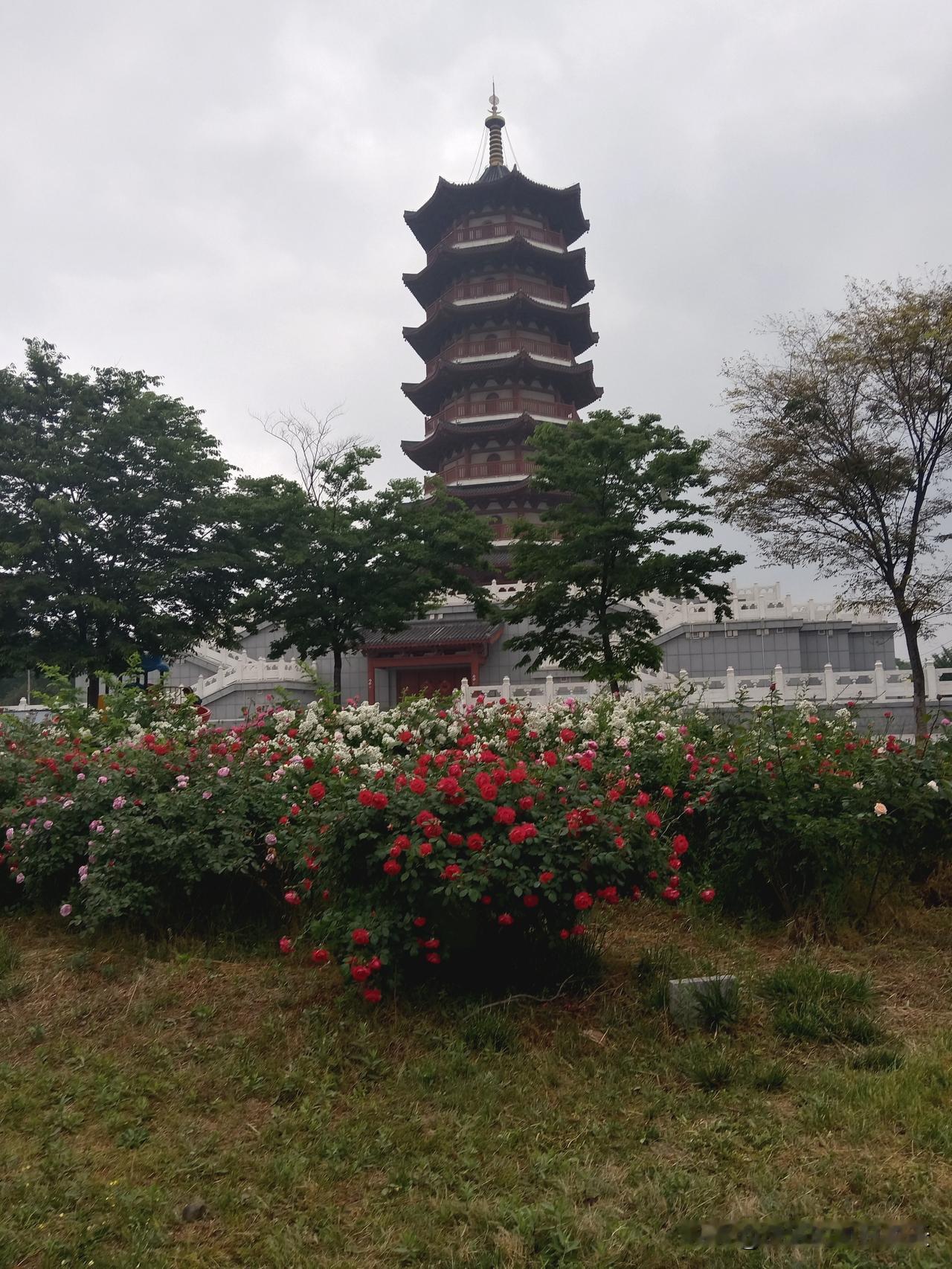老人常说：一个家有没有福气，别看房子多大，要看这5件小事第一，关门的力道。