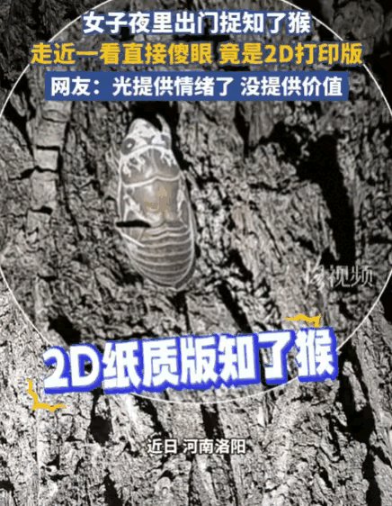 真的要被这波整蛊笑不活了！深夜夫妻俩兴冲冲进山抓知了猴，丈夫打手电、女子负责抓