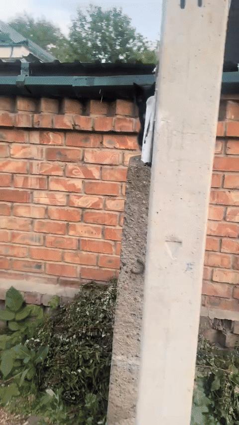 猫咪：听说你们都在找我？