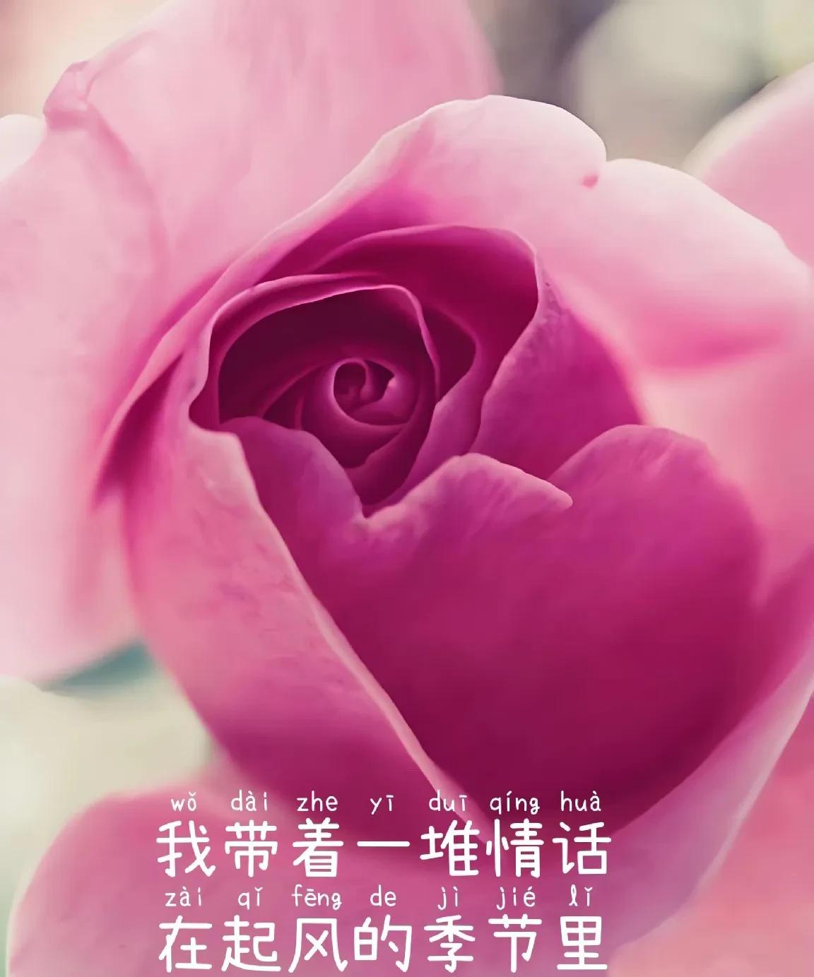 有个傻瓜想你了一缕思念层层包裹心间放下情，太难忘记你，更难每个无眠的长