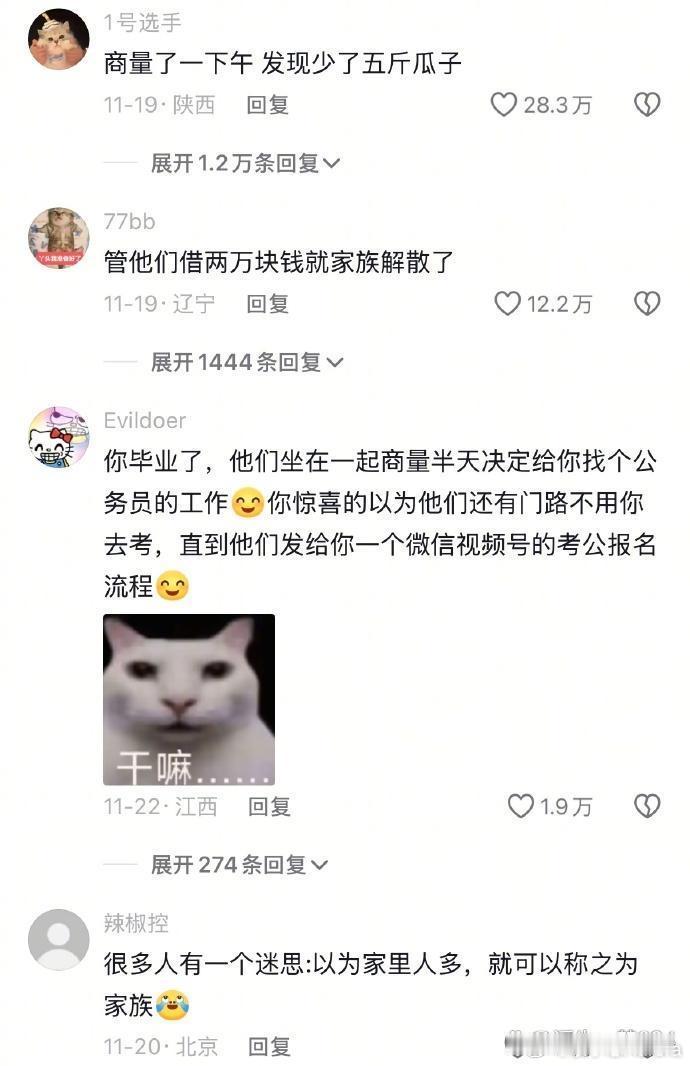 终于有人说出我理解不了的家族商量了