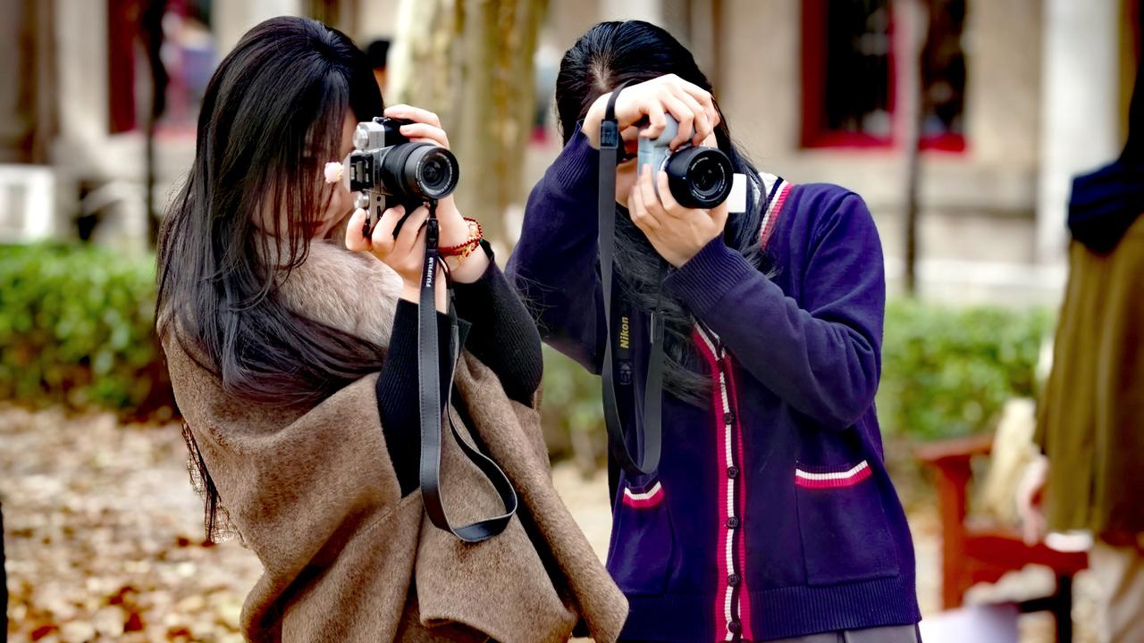 西安交通大学金色梧桐节拾零