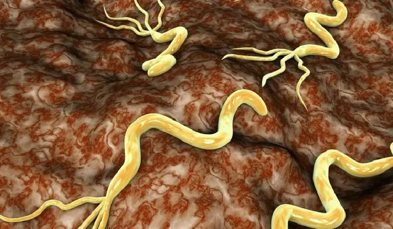 饭后总觉得胃里翻江倒海，胀痛难耐？这竟藏着胃癌的隐秘信号，80%患者早就有迹可循