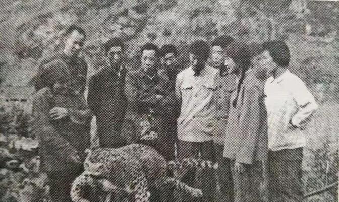1982年，陕西67岁老人带着家人上山挖草药，谁知，身后突然窜出来一道黑影，她顿