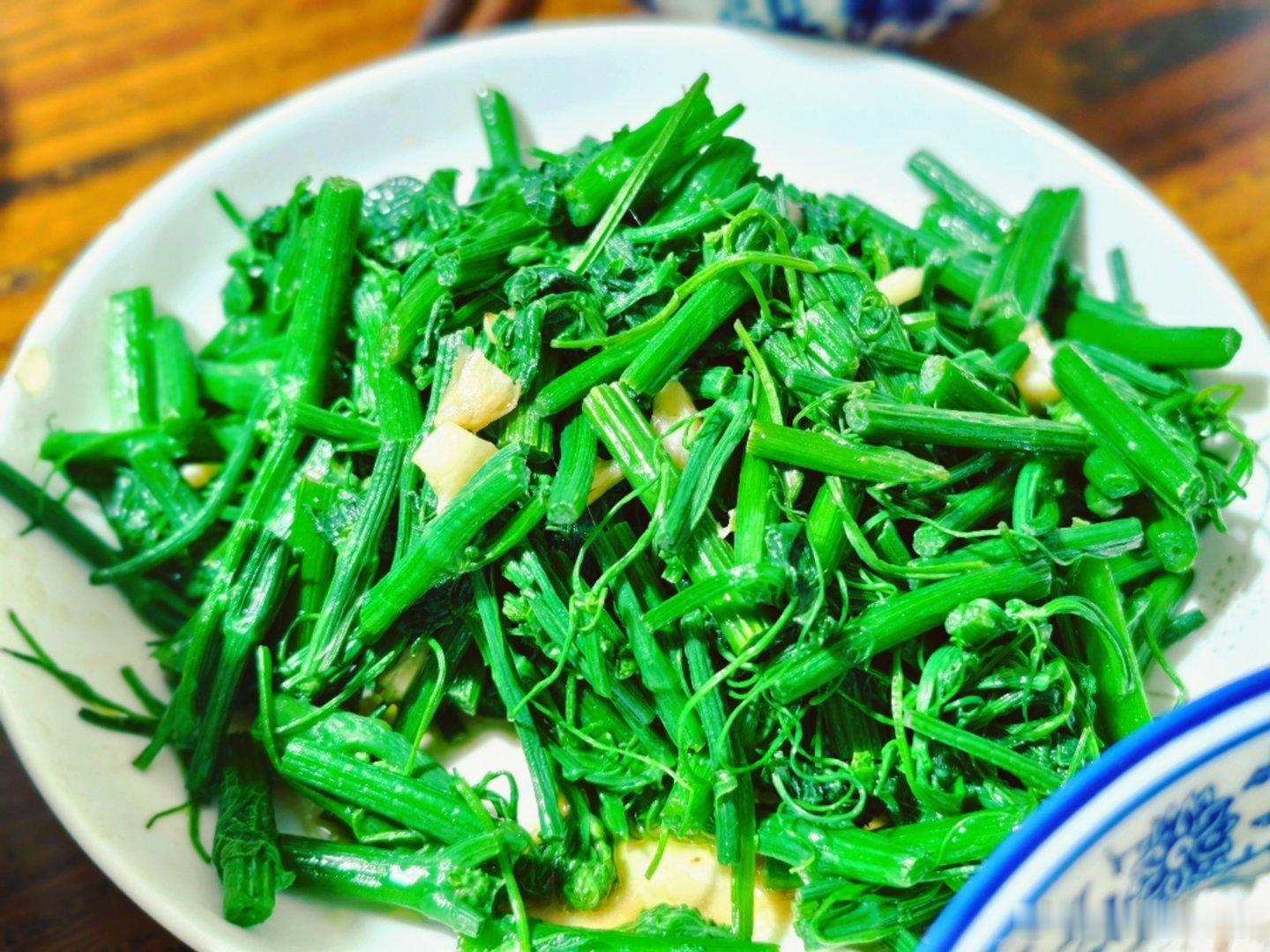 今天去我姑姑家接我父母，让我姑姑和表姐都休息一下，因为大美安排了姥爷下周接着去，