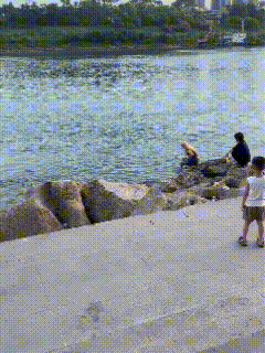 广西贵港，大东码头溺亡的14岁少女，本可以避免活下来的！码头岸边二三十米处，就摆