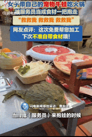 笑不活了!女子去火锅店吃火锅,当时店员看到桌子上放着一只牛蛙,以为是店里的食材,