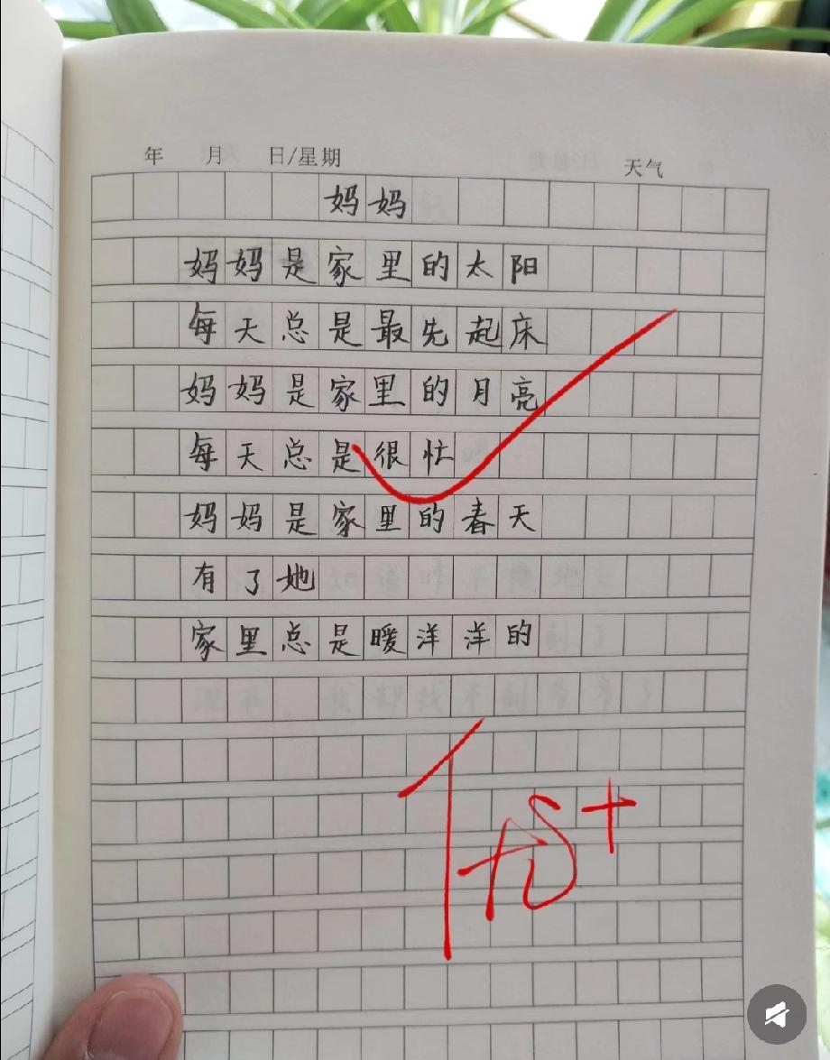 小学生写妈妈的作文火了：把妈妈比作太阳月亮春天，老师直接打100+，太暖了