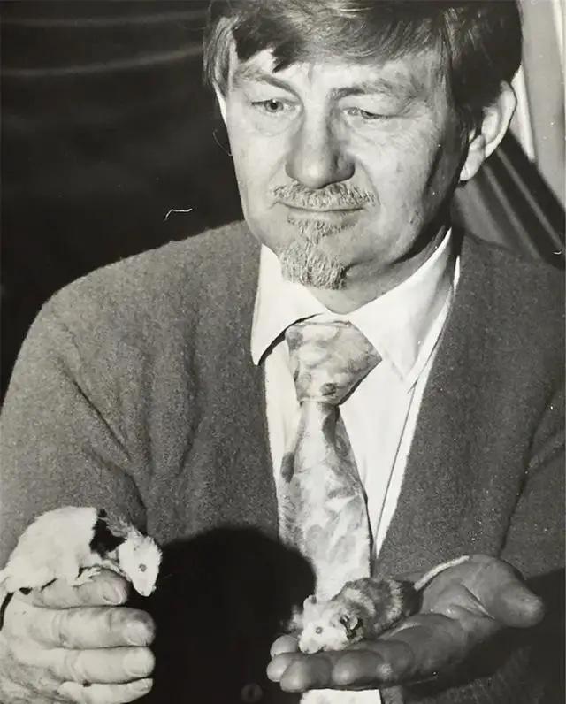 1970年，霍恩做过恐怖无比的实验，就是在一个没有天敌，没有疾病，食物和水都无限