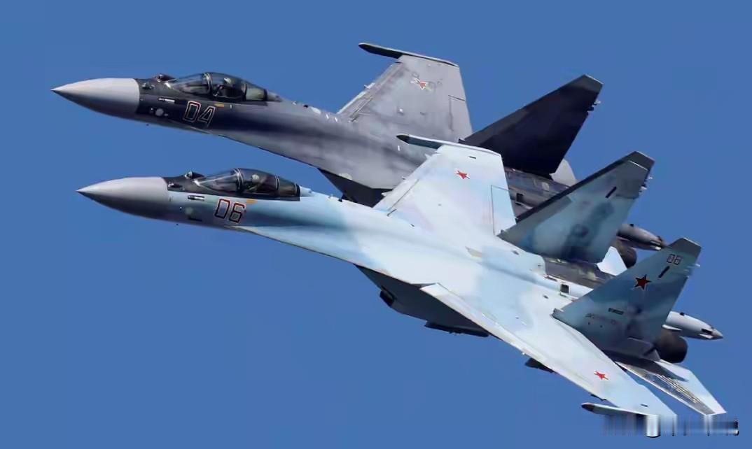 我们的“鸡肋”俄罗斯的“宝贝”，俄罗斯要“回购”苏35？俄罗斯《生意人报》上周