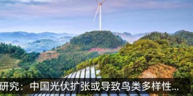 离谱！8月21日，新加坡媒体批评中国新能源，称中国大规模发展太阳能虽有助于减碳，