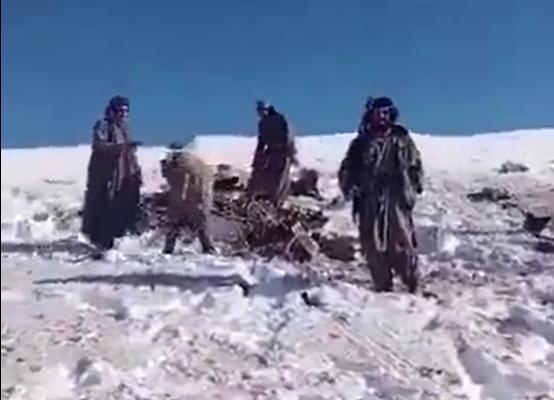 一架美军无人机在阿富汗坠毁，给中方敲响了警钟：有人在秘密投靠白宫！2026年