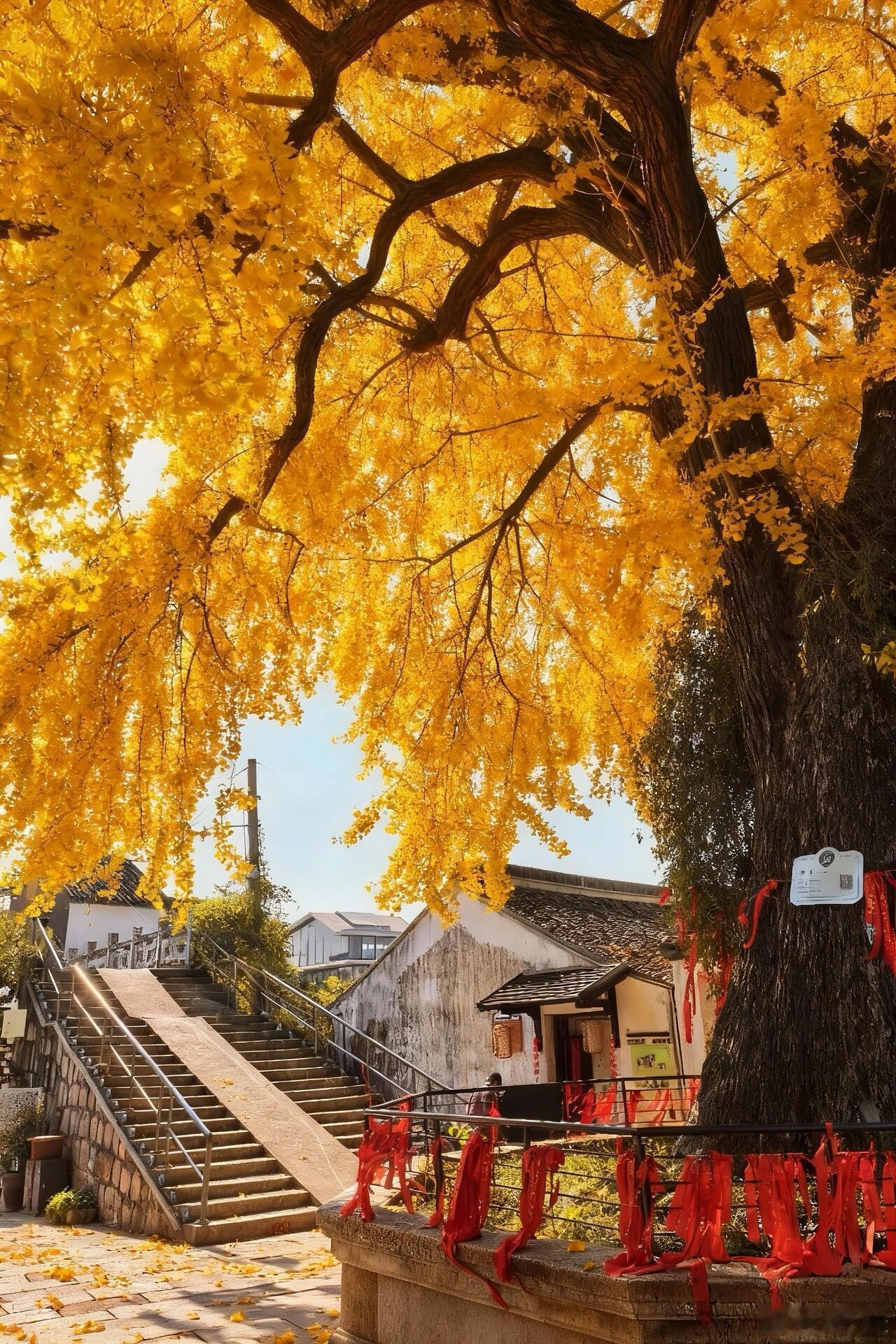 心理学有个“暴露梯度”理论说，亲密关系里的自我暴露，该像剥洋葱——一层一层慢慢来