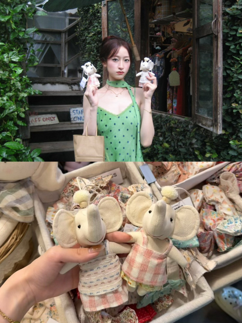 🌳水土很服泰国·清迈