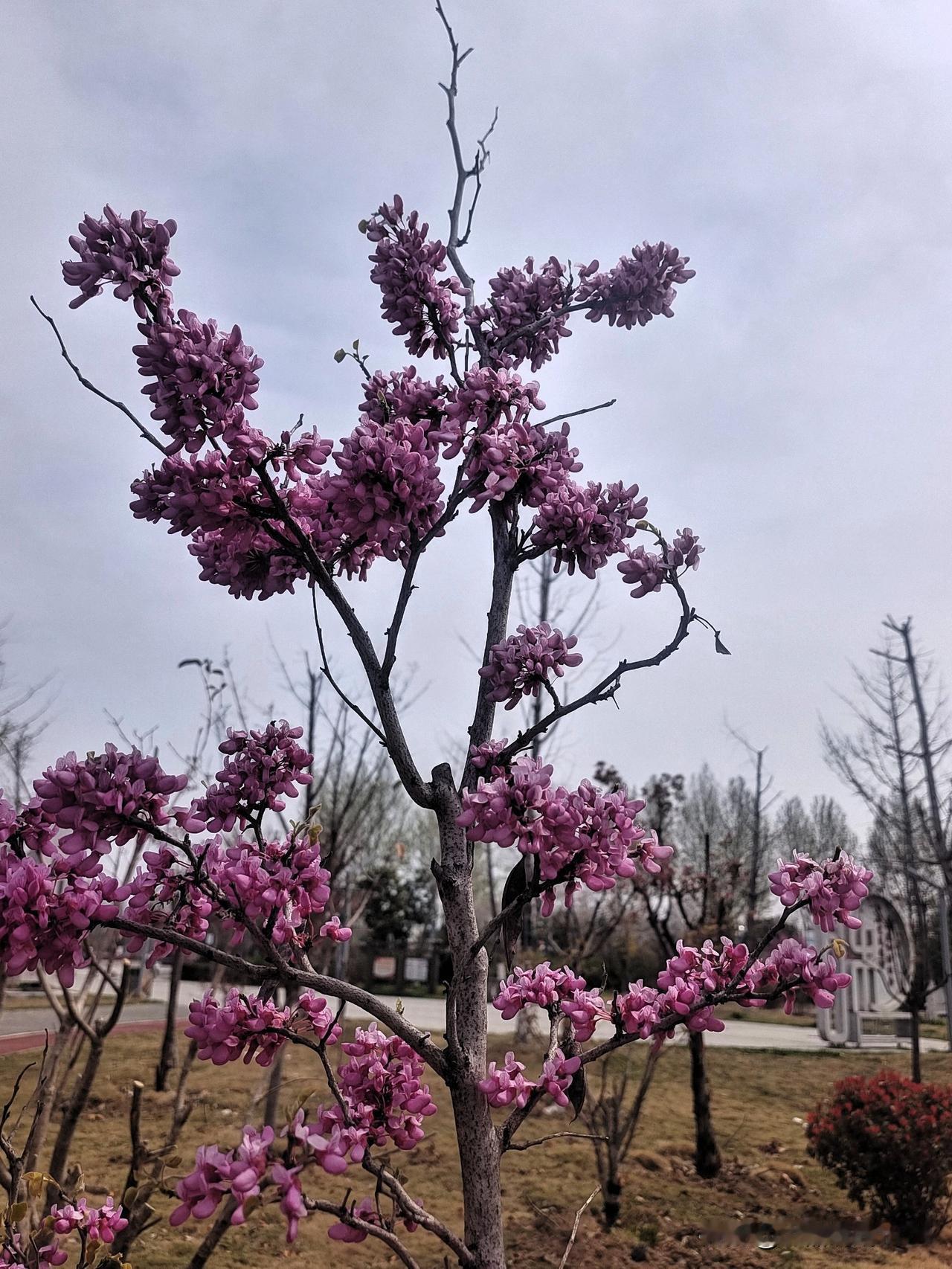 亲人本比朋友亲打断骨头连着筋朋友本身不是亲常来常往胜亲人朋友掰了两拉倒