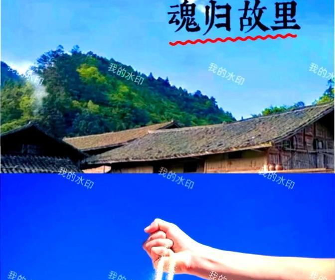 殡葬不用再争土葬火葬了！2025年7月新规落地，“生态葬”正式推行！在传统观念