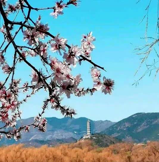 相亲宜早，从人性角度而言，这极有道理。女性的年龄红利期在18至25岁，彼