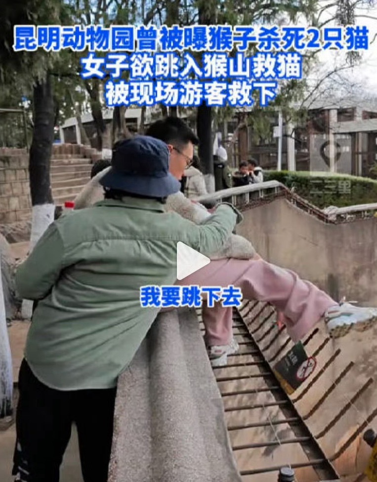 重庆动物园用活兔活鸡喂蛇引争议这也就是兔子和鸡，这要是猫和狗怕不是立马把动物园顶