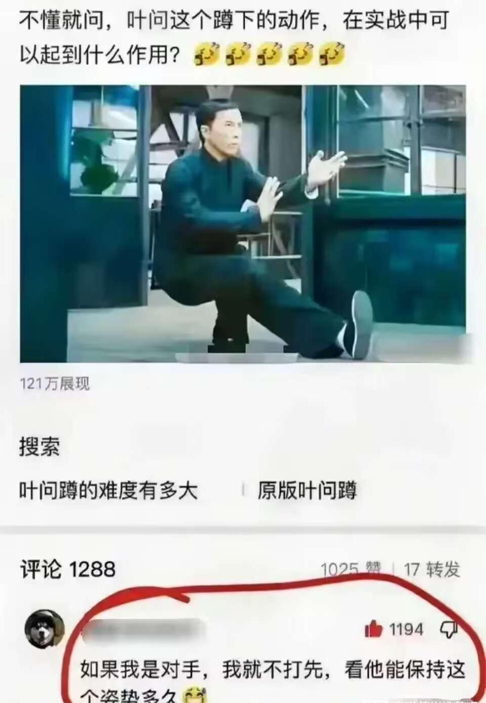 叶问这个蹲下的动作实战有什么威力