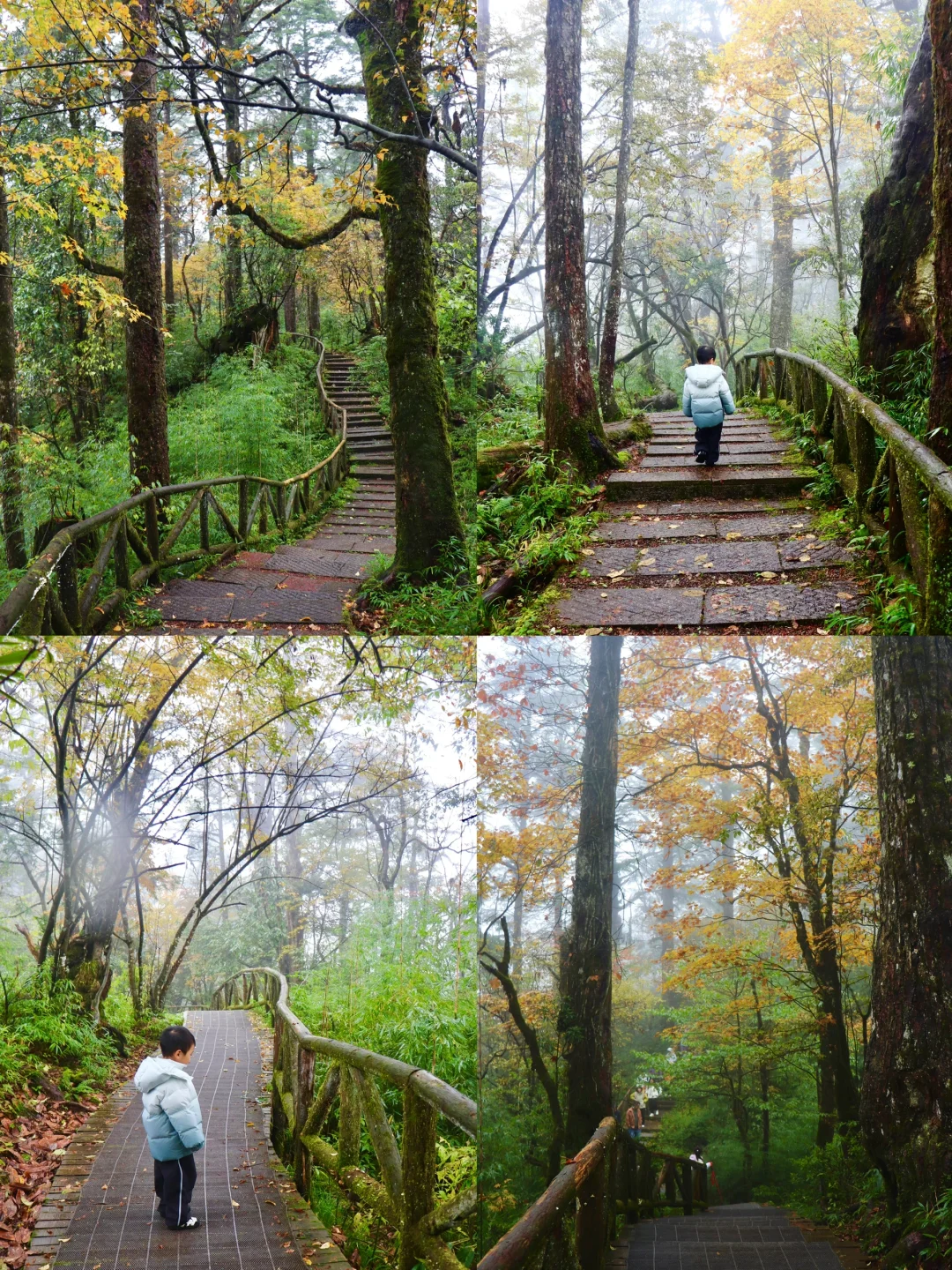🍁宝藏徒步路线，捡不完的蘑菇，看不完的秋色