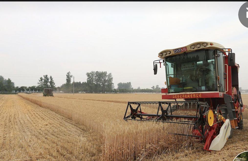 改革开放之初，包产到户的推行曾遭遇尖锐质疑，有人断言这一制度会滑向资本主义深渊。
