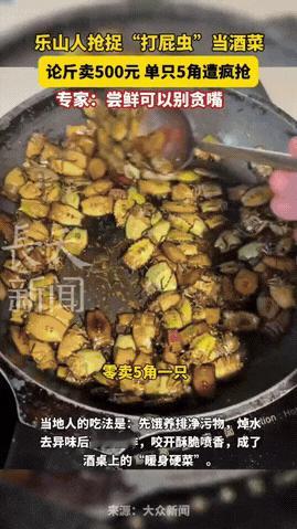 打屁虫竟然也能卖钱！11月25日四川乐山，大渡河边有大爷大妈戴着手套，拿着塑料瓶