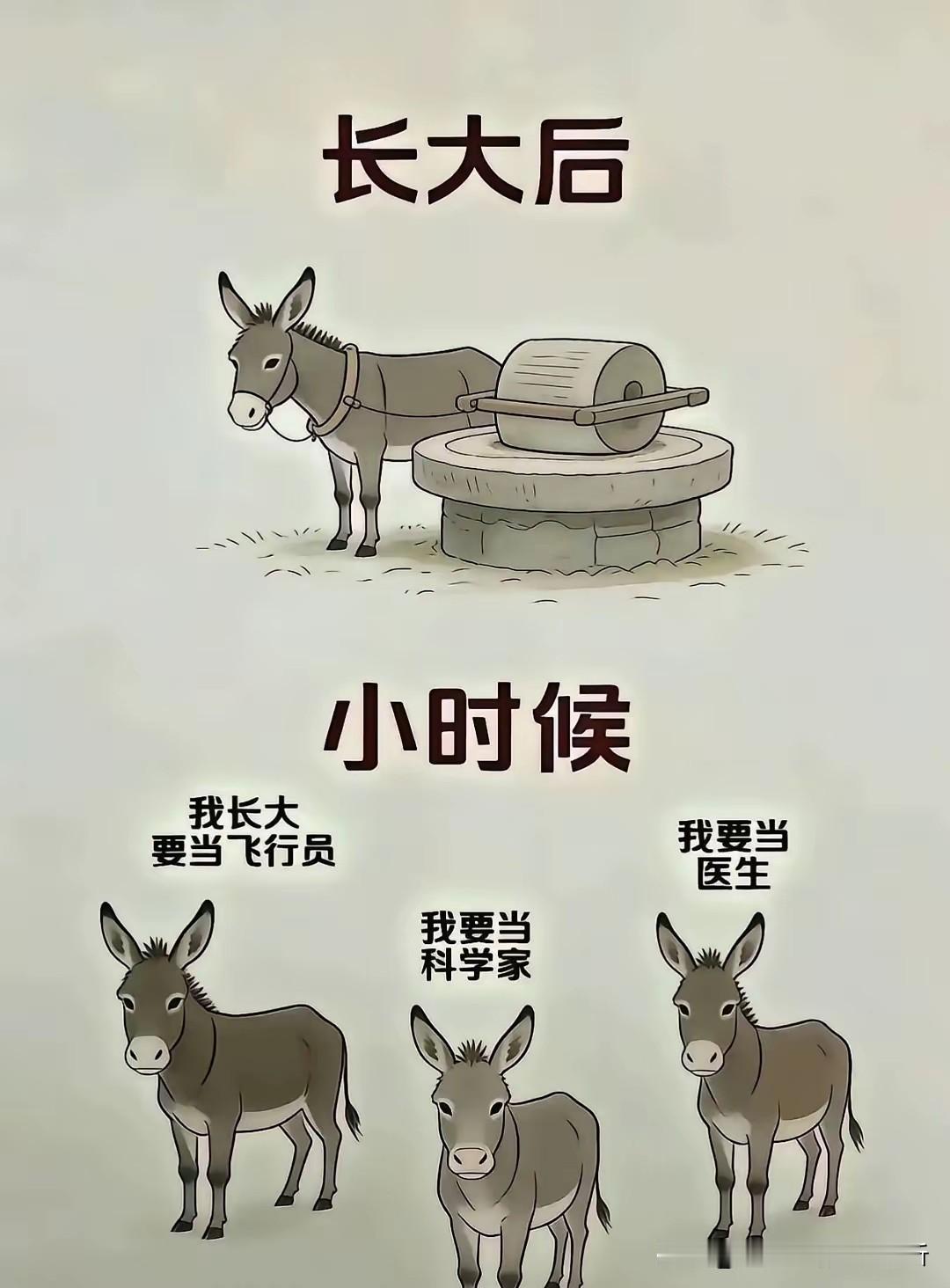 奉献社会[比心]