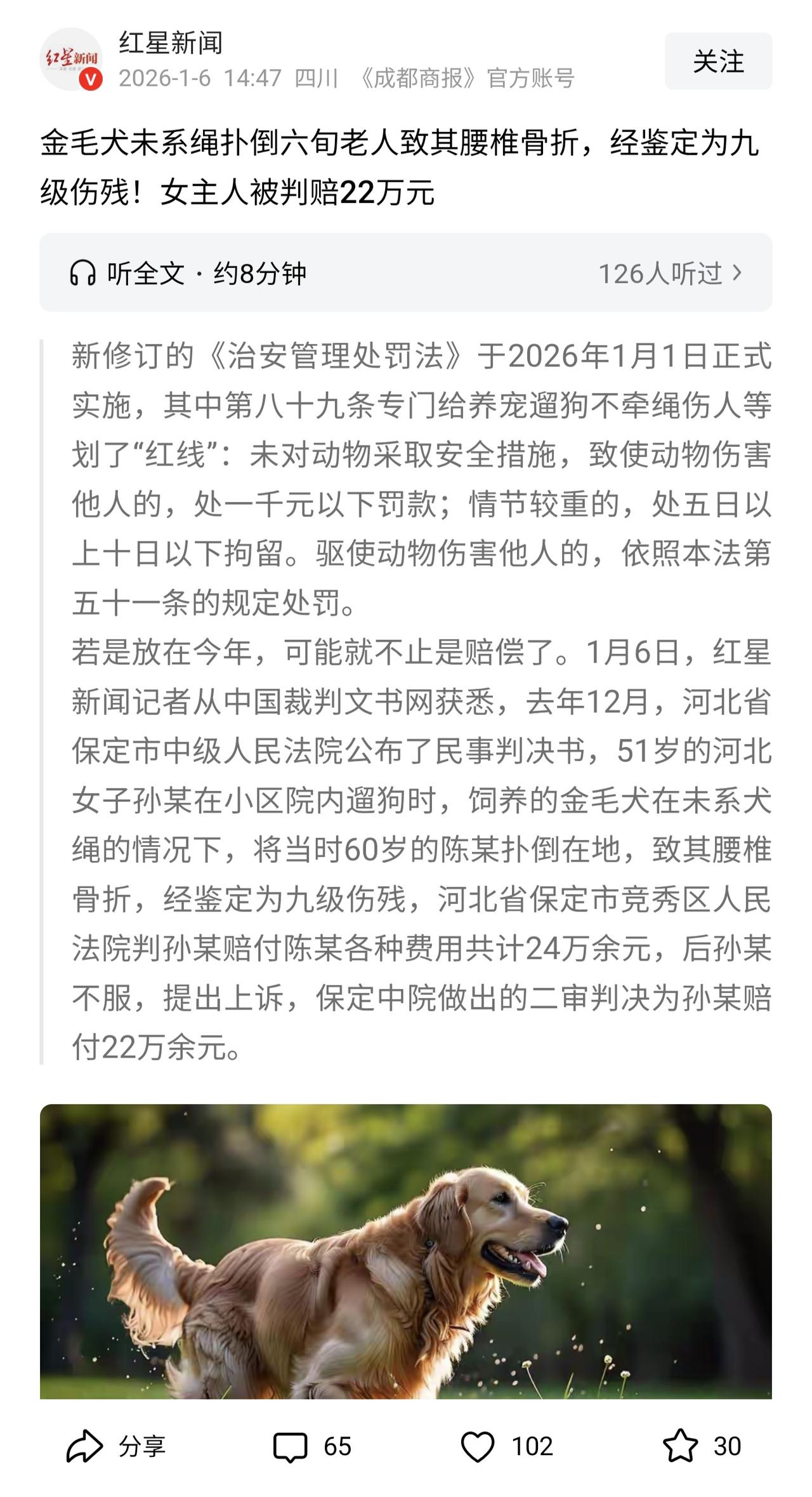 每一次狗咬人或者人打狗都会触动社会的神经，引发热议，背后的原因一方面是因为对养狗