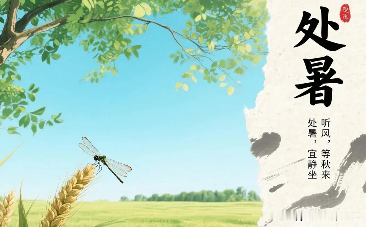 2025年8月23日，七月初一，处暑至。天空是一页被雨洗过的信笺，云朵像被