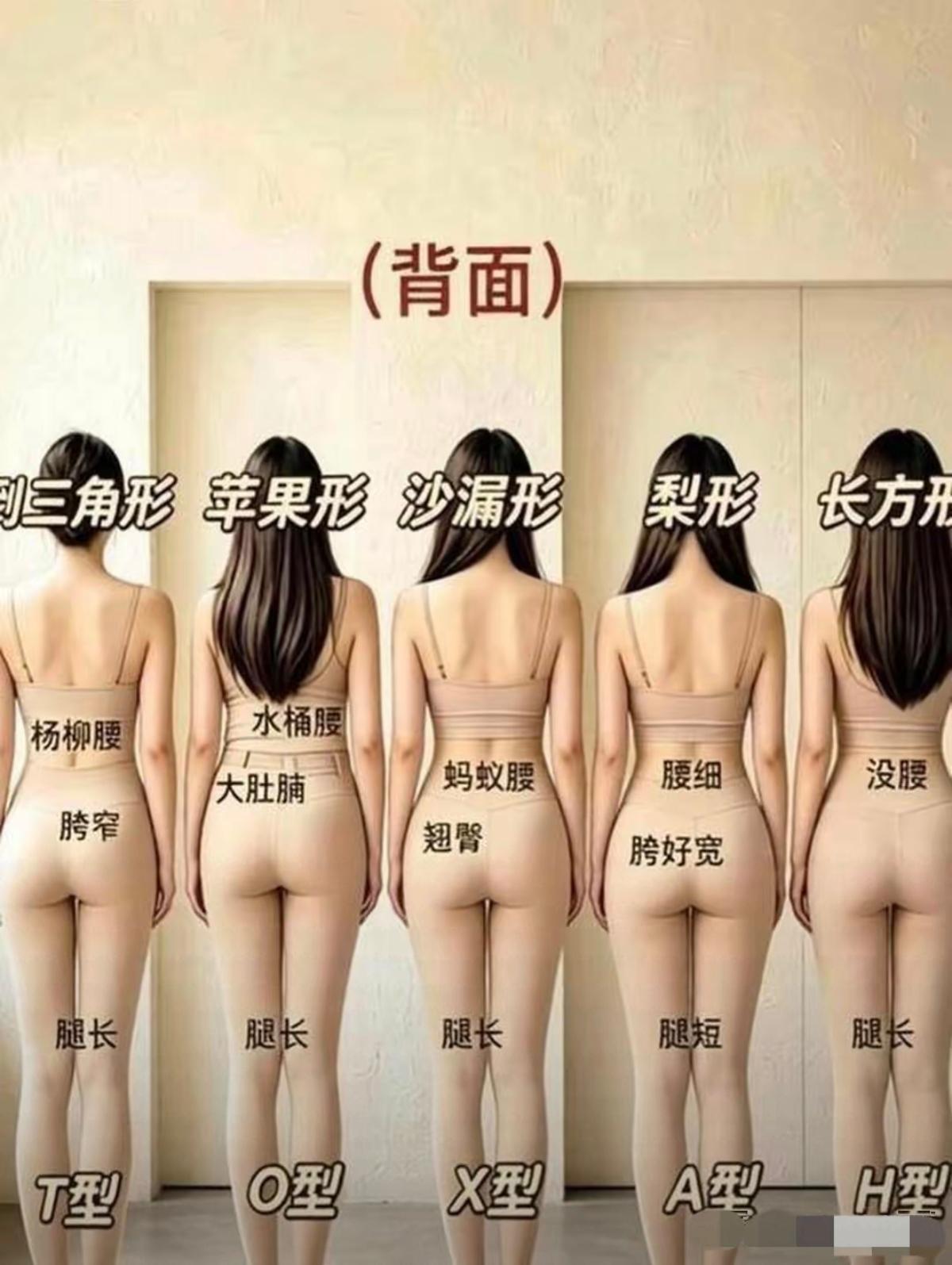 哪种身材你最喜欢？