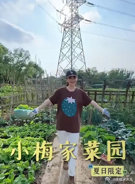 马筱梅又一次说北京的地很贵了。为了汪小菲，每周去两次菜市场，就差在北京买块地给