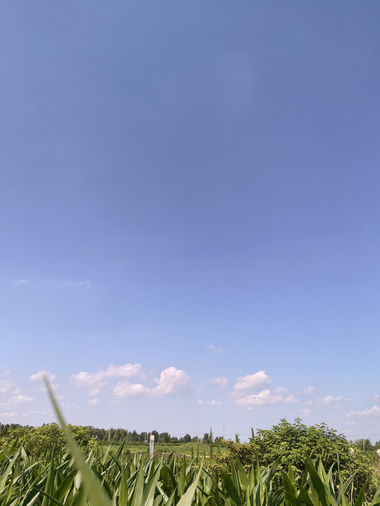 十二生肖优点1鼠聪慧善谋2牛踏实靠谱3虎果敢仗义4兔温柔包容5龙