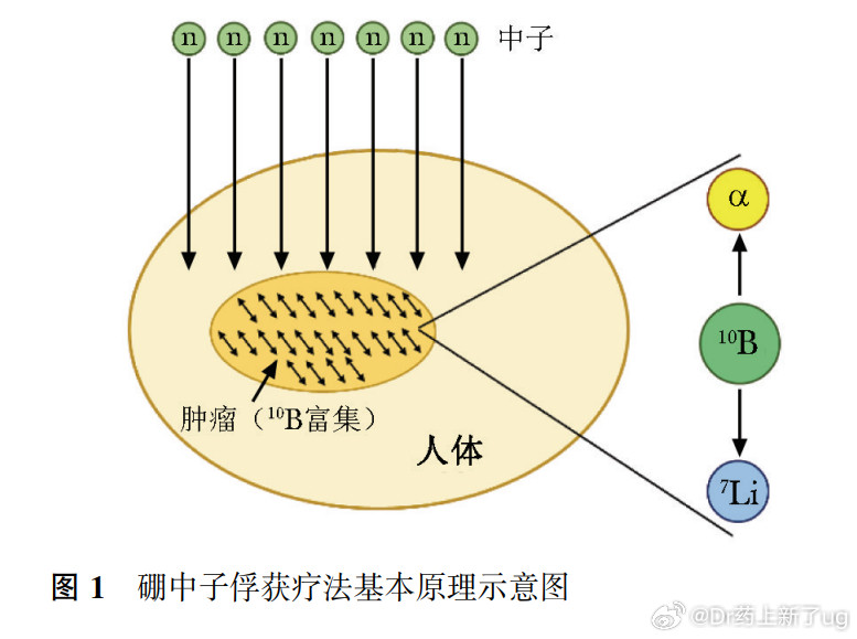 全国首例BNCT在海南完成治疗国际创新药闻大家都知道，传统放化疗杀癌也伤正常