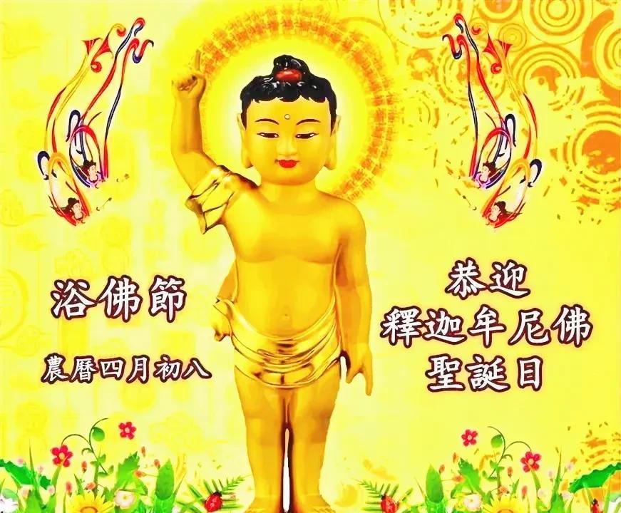 浴佛节，又称佛诞节，是佛教纪念释迦牟尼佛诞生的重要节日，在每年农历四月初八。据