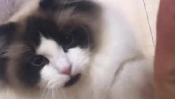 3075782531368306162.jpg?id=0