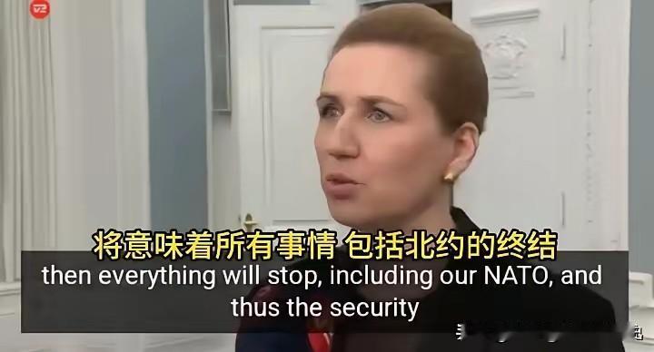 豪言壮语..​丹麦首相尼尔森：如果美国吞并格陵兰岛，将意味着北约和二战体系的终