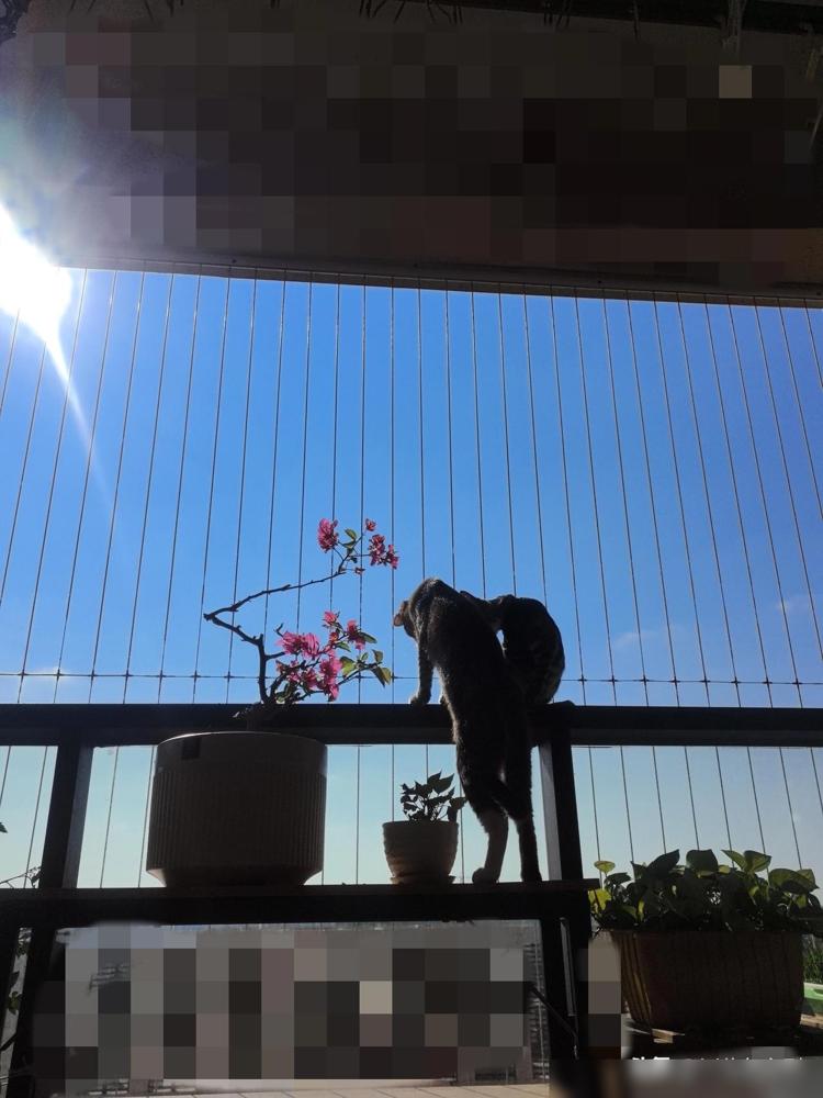 什么是低端家庭？讲一个我自己亲身经历的事。参加工作的那一年，好几位领导替我介绍对