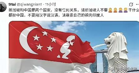 “新加坡和中国是两个国家，没有任何关系，请新加坡人不要干什么都扯中国，不要用汉字