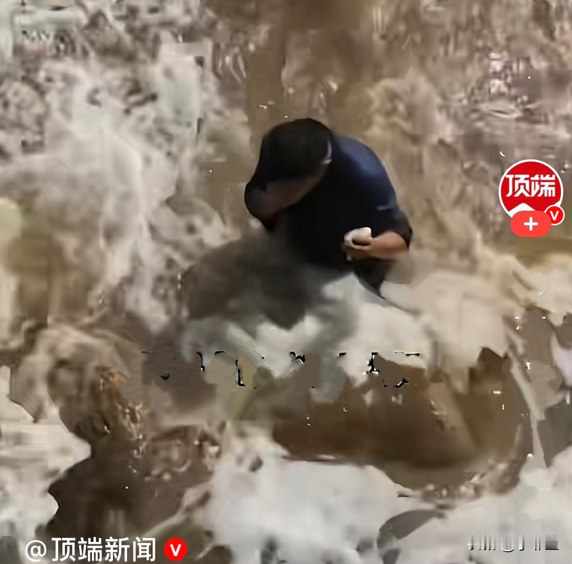 大年初七，广东珠海一家人带孩子在海边玩耍，孩子的心爱的鹦鹉不小心掉进了海里，孩子