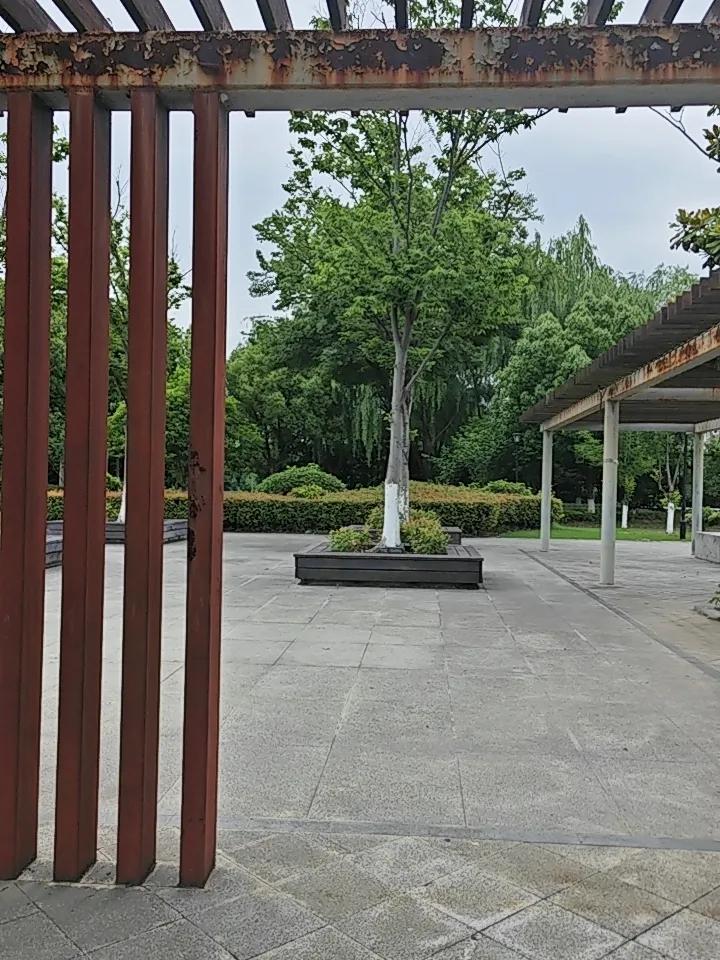 惊醒无数人！真正的顶级养生，根本不用花钱！说句最扎心的养生实话！90