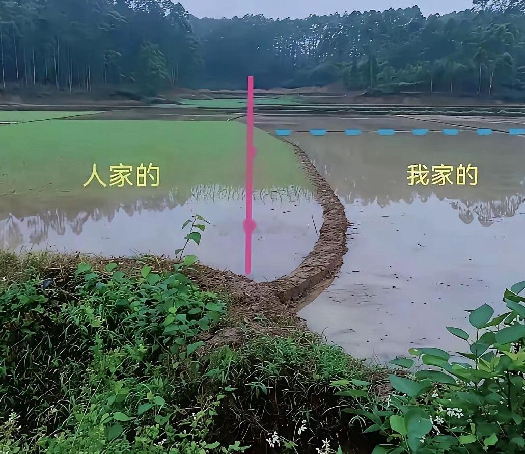 一年挪一点，村里有一些人好过分