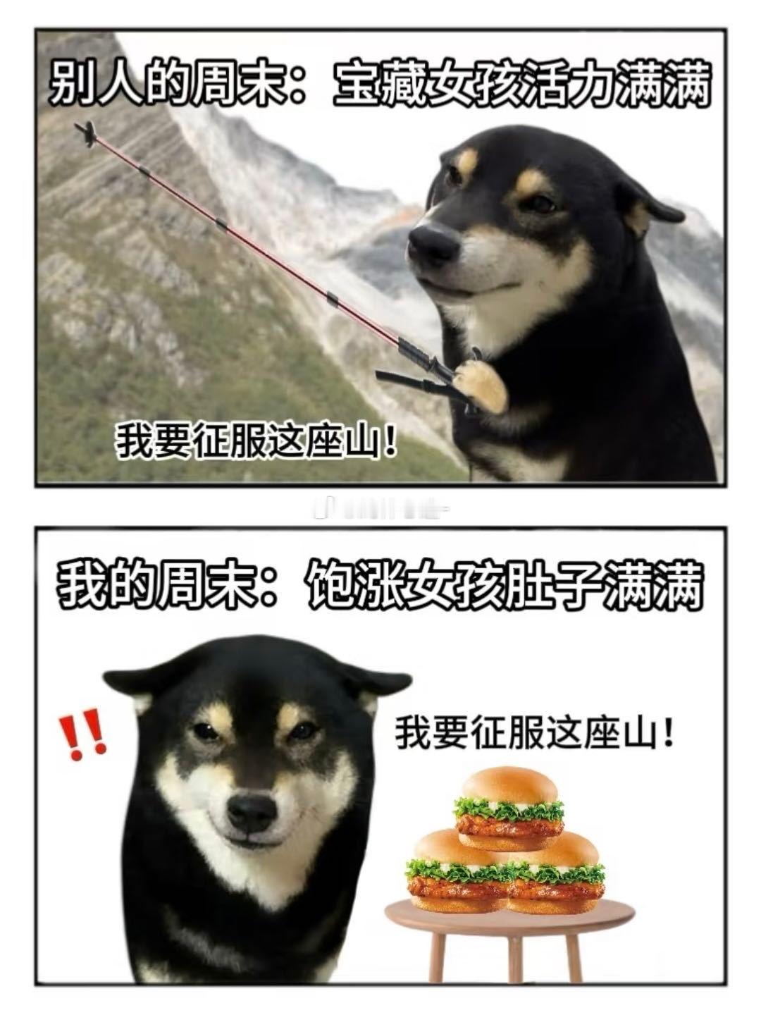 周末计划vs实际周末本打算精致化妆打卡网红早午餐，结果顶着油头窝在被窝里挑外卖。
