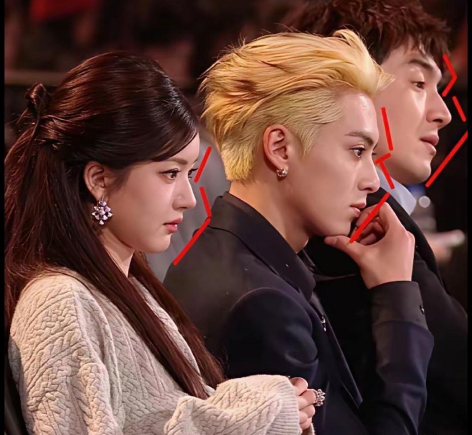 我去……给大家看一下鼻子基因的震撼感