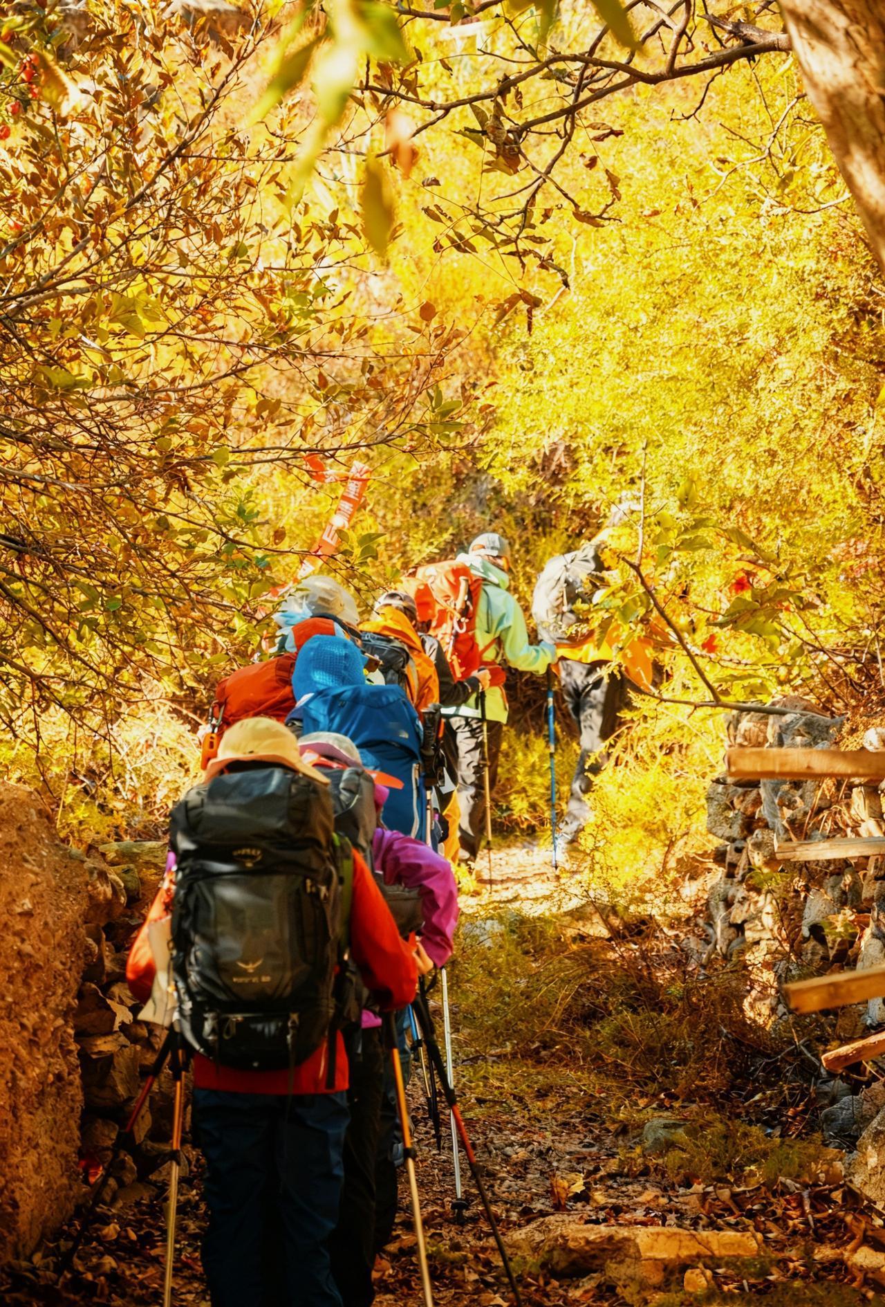 📕行程安排：D1：全国各地-丽江D2：丽江-小中甸-月亮湾-飞来寺D3：