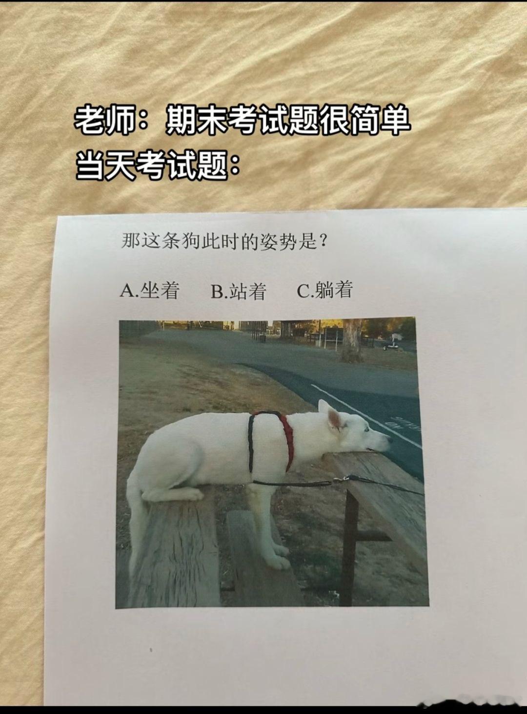 当老师说期末考试很简单.........​​​
