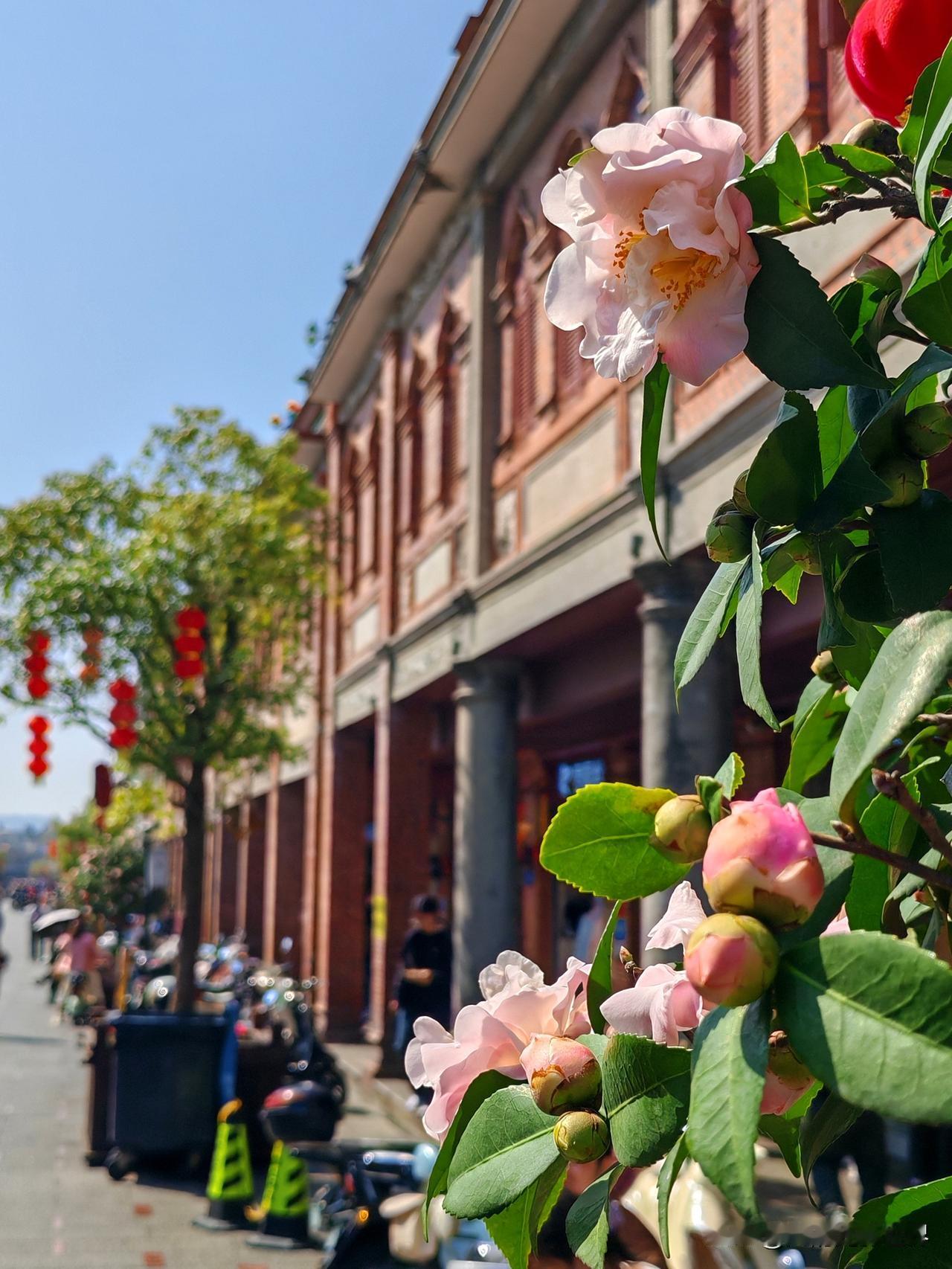 泉州有哪些值得去的景点?泉州有哪些值得去的景点?春节去哪儿游玩呢？孩子想去江西