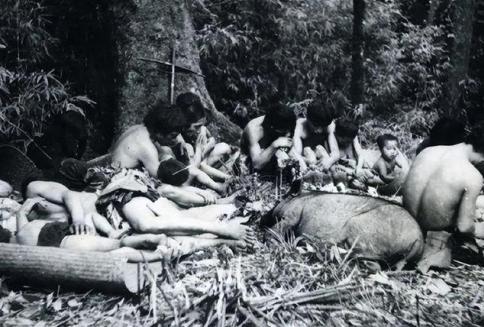 1956年，解放军在云南原始森林深处，发现一群衣不蔽体，蓬头垢面的男男女女。经过