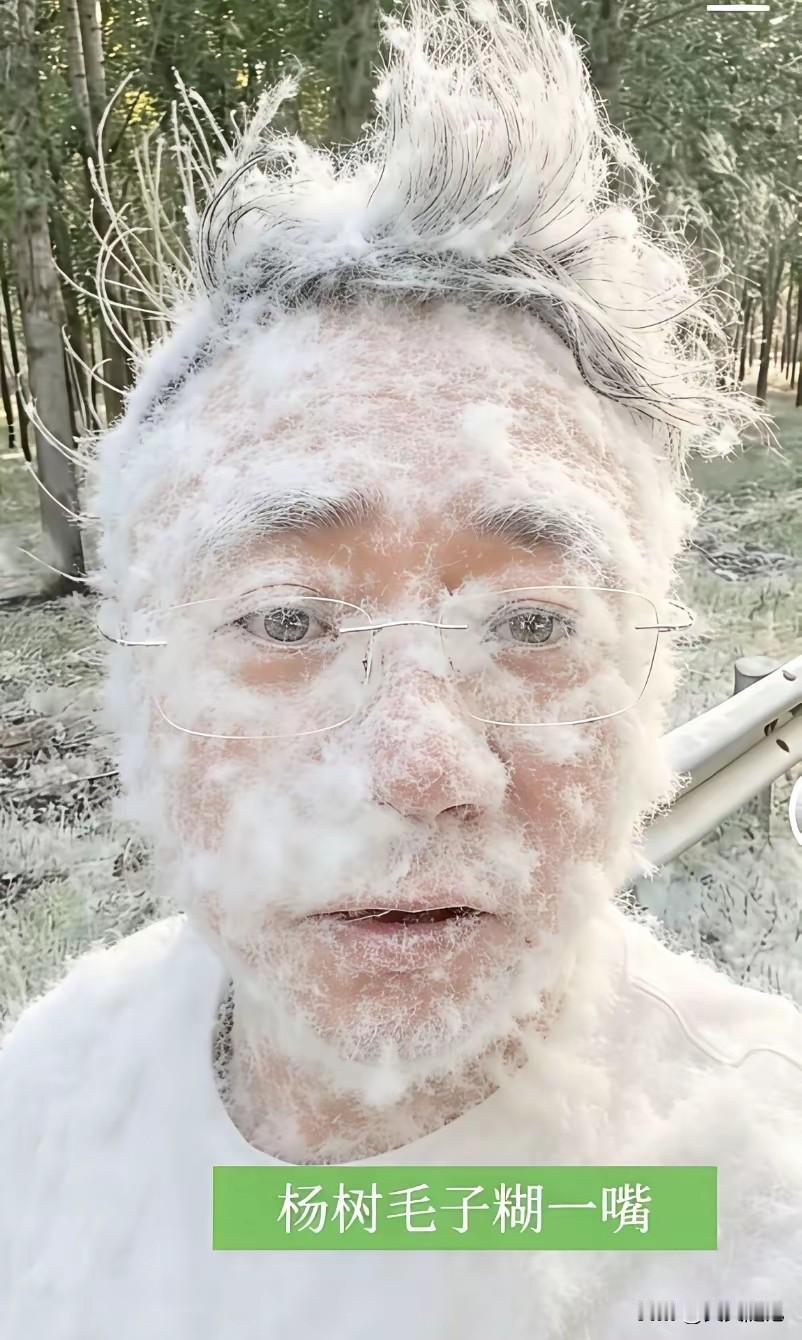 不懂就问这么多的杨树毛毛为什么还要一直种植