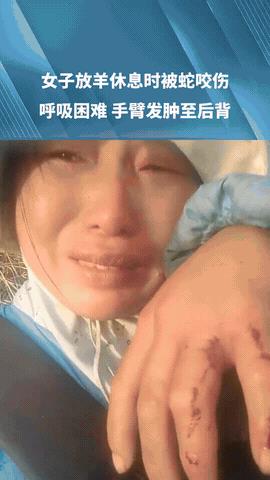 命真硬！5.6日安徽滁州，一女子放羊途中躺下休息时，突然感觉手被异物戳