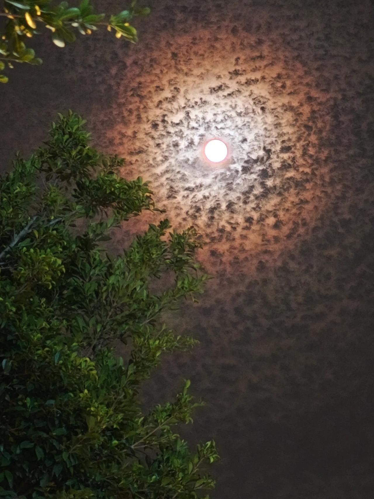周未证券会员大会，透露出股市发展重要方向，挑几个重点：第一、适度打开资本空间和